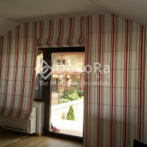 PDDP038-sistem-roman-dungi-alb-verde-rosu-modern