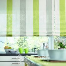 PxxJ010-sistem-roman-dungi-verde-gri