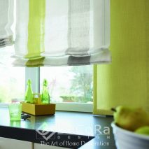 PxxJ011-sistem-roman-dungi-verde-gri