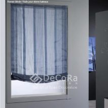 PxxJ016-sistem-roman-dungi-albastru