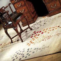 SxxC178-covor-buline