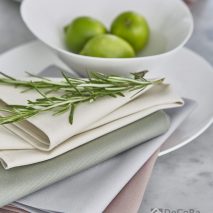 CORE CAM 3-ACCESORII-MASA-SERVETE-MASA-CULORI-PASTEL