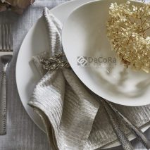 ODYSSEY CAM 5-ACCESORII-MASA-SERVET-MASA-IMPRIMEU