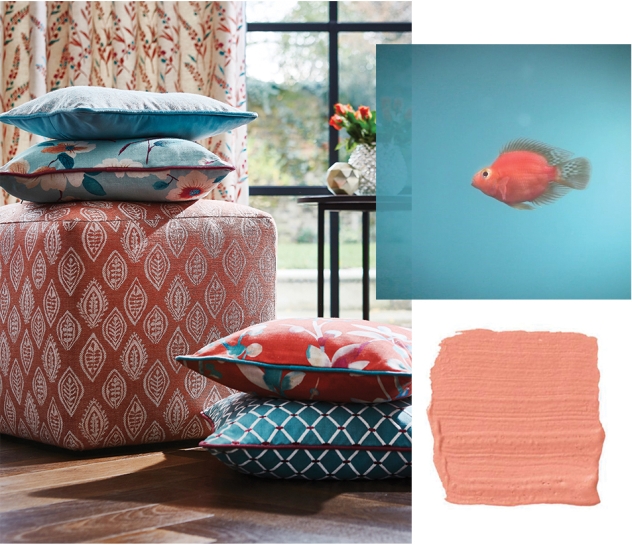 coral-1-PT-LIVING-CORAL-BLOG