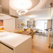 Miso Architects - Ap. 202 Vernescu (1)