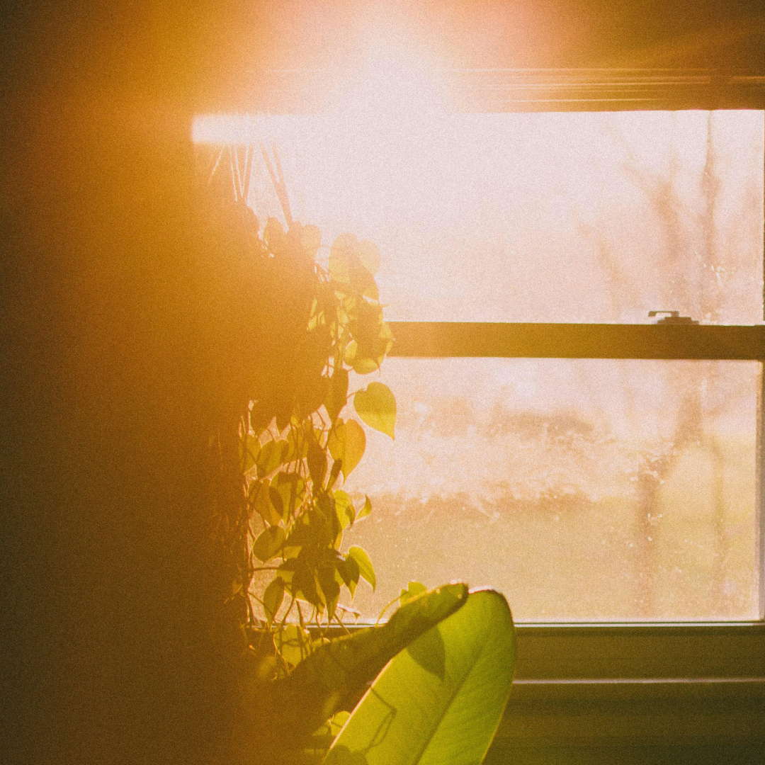 Controlul luminii - blocarea integrală sau parțială a luminii prin draperii blackout sau dimout premium