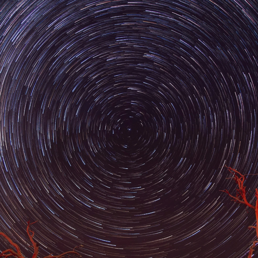 Reducere ecou și reverberație- sunet mai redus și mediu mai clar prin perdele și draperii fonoabsorbante