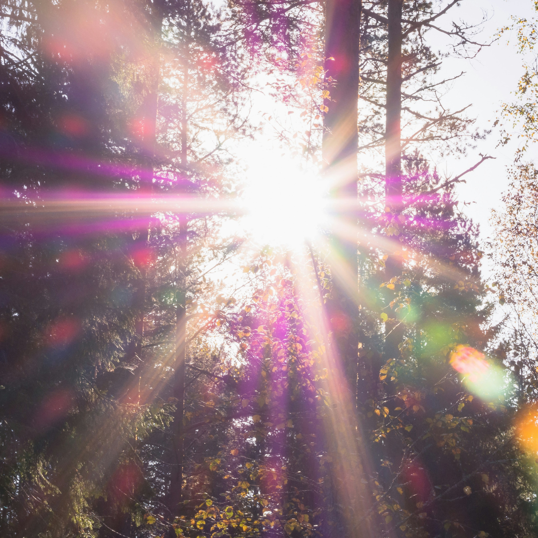 Protecție UV pentru perdele și draperii de exterior