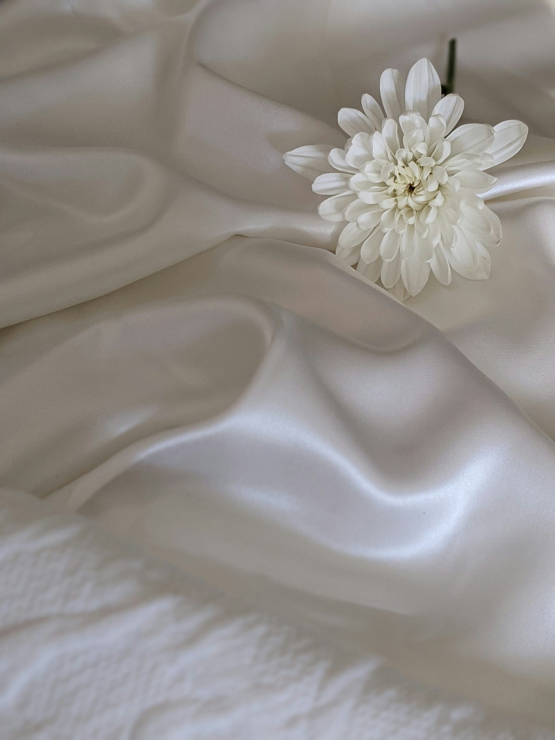 Fibre naturale - opțiune de lux pentru perdele și draperiile din mătase naturală