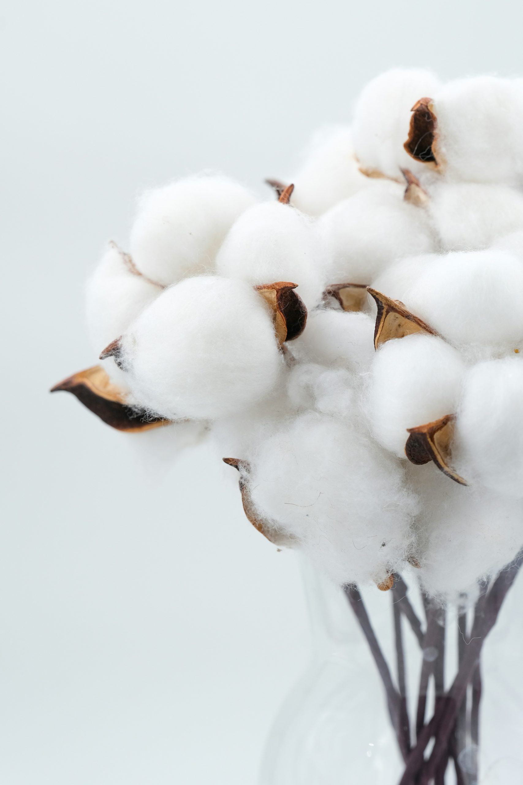 Detaliu bumbac pentru draperii din fibre naturale