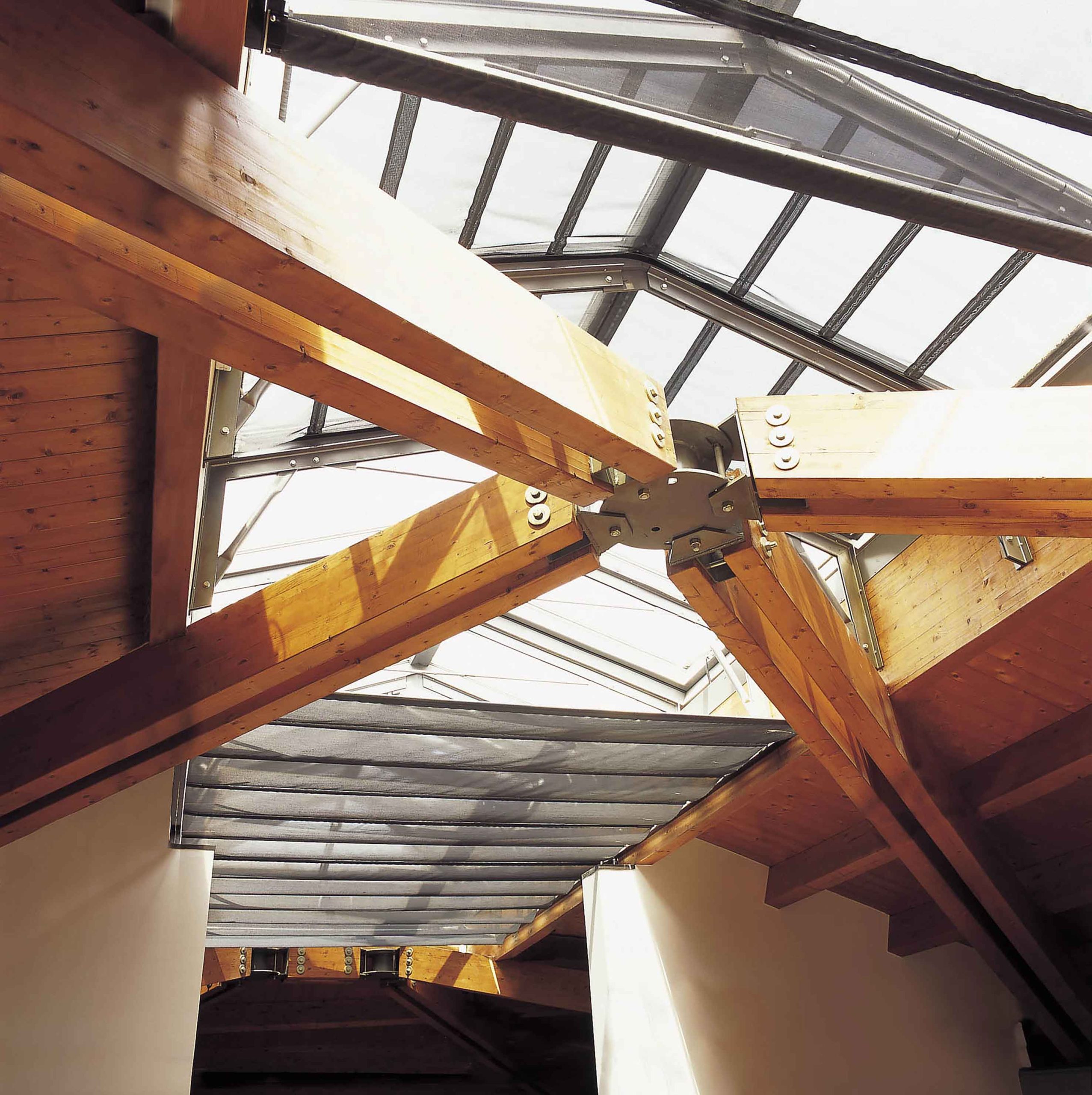 Soluții pentru Winter Garden